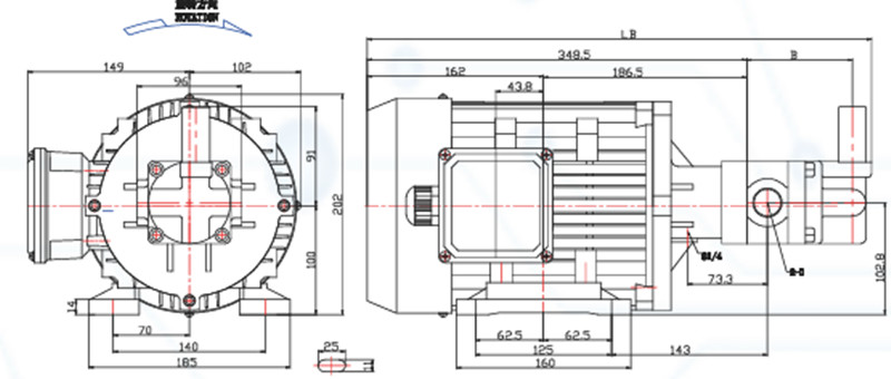 润滑泵专用电机外形尺寸图